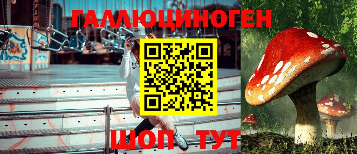 Галлюциногенные грибы Psilocybe Кашира