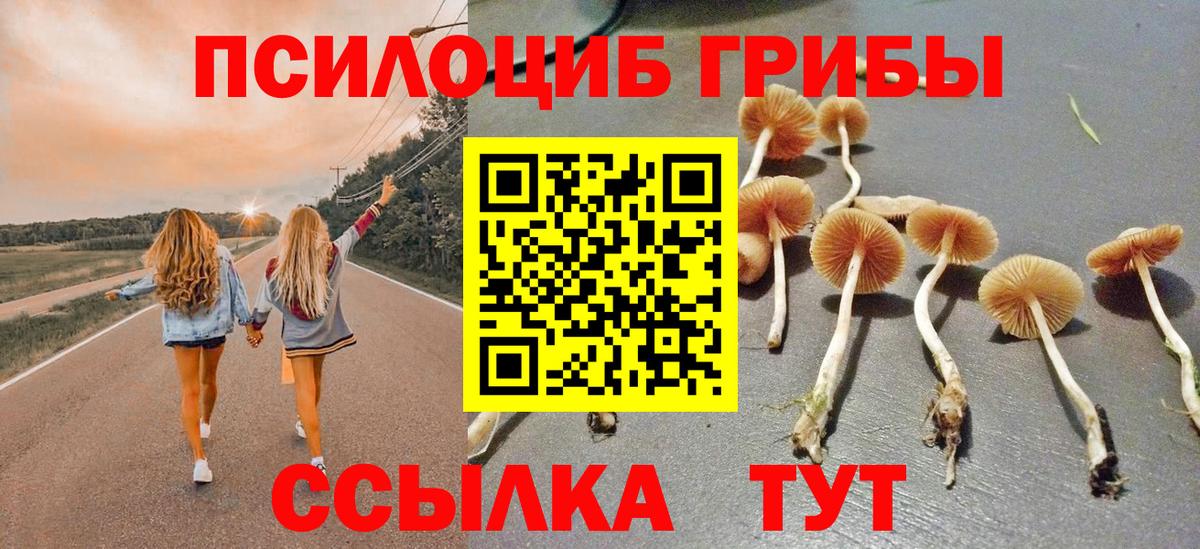 Кашира  Галлюциногенные грибы MAGIC MUSHROOMS  Вход с VPN 